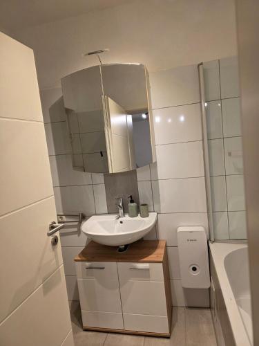 a bathroom with a sink and a mirror at Naturnest Berzbuir in Düren - Eifel
