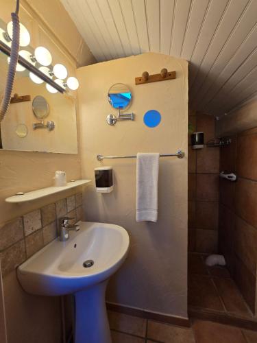 a bathroom with a sink and a shower at Hôtel Le Colbert in Avignon
