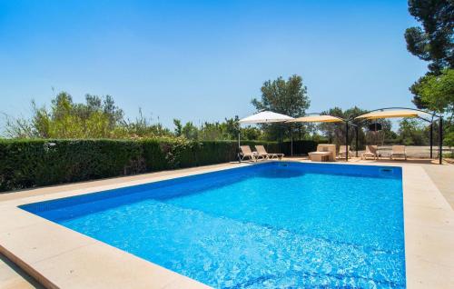 ein Swimmingpool mit blauem Wasser in einem Garten in der Unterkunft Ceratonia in Binissalem
