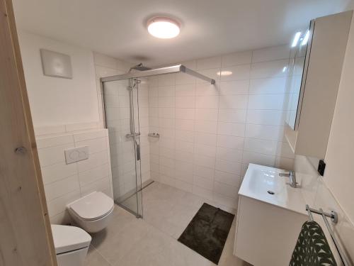 a bathroom with a shower and a toilet and a sink at Loft zum alten Kraftwerk in Herzogenburg