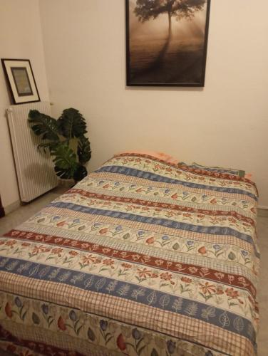 39 barberis