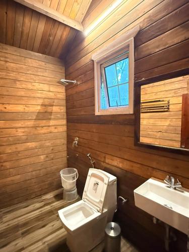 a bathroom with a toilet and a sink at Royal cottage by royale palace in Mount Ābu