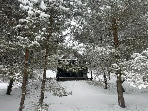Cosy Cabin - domek na Kaszubach z sauną, balią i basenem