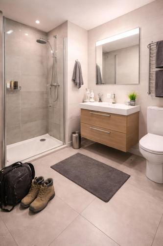 a bathroom with a shower and a toilet and a sink at Am Silbersee in Hochheim am Main