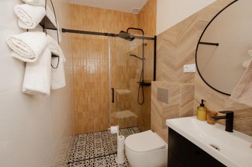 a bathroom with a toilet and a sink and a mirror at Bukowe Wzgórza in Trzebniów