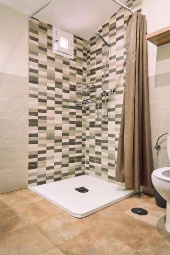 a bathroom with a shower and a toilet at Casilla Soleá Rural in Carcabuey