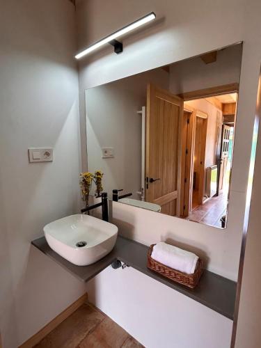 a bathroom with a sink and a large mirror at Cal Not Celler, Cerdanya in Escardacs