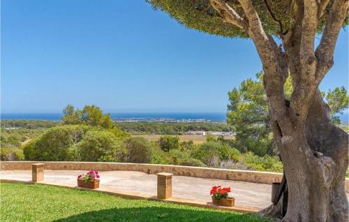 a tree with flowers in a park with the ocean in the background at Es Socorrat in Portocolom