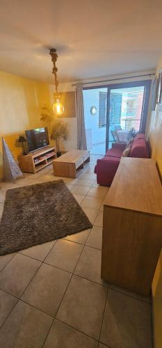 a living room with a couch and a tv at Cozy & Zen in Saint-Denis