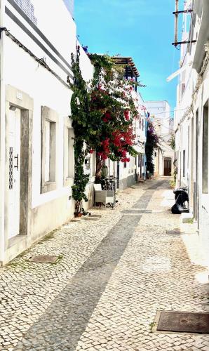 an empty street with a tree on the side of a building at Zenit little house or basic room in Olhão