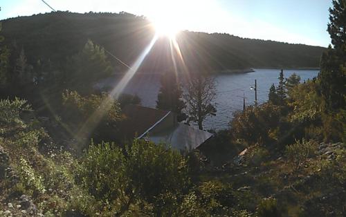 A tiny sea home in the wilderness