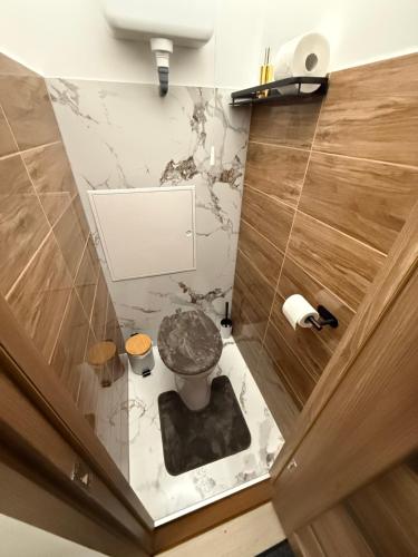 a small bathroom with a toilet in a room at Tildy Apartman Pécs in Pécs