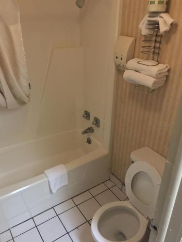 a bathroom with a toilet and a tub and a sink at Home Town Inn in Flint