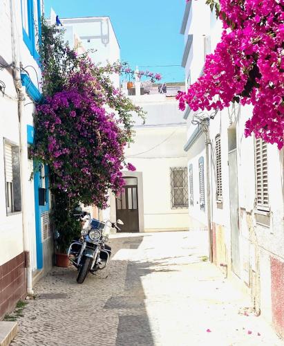 a street with purple flowers in an alley at Zenit little house or basic room in Olhão