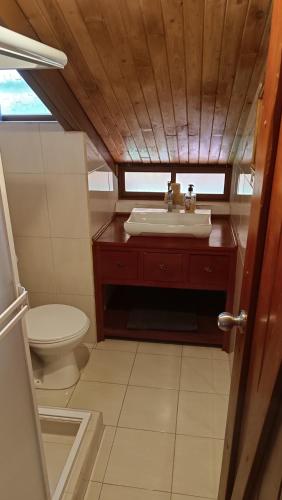 a bathroom with a sink and a toilet at Mindo Suites - Rufous in Mindo