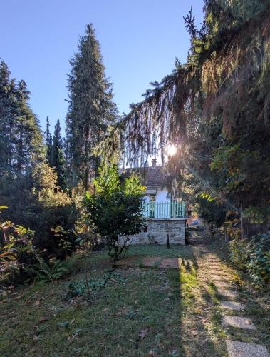 Gesztenyés Backpackers