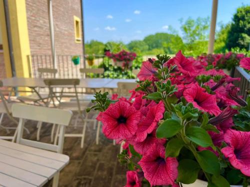 a bunch of pink flowers on a patio with tables and chairs at Bed & Breakfast Carpe Diem in Solferino