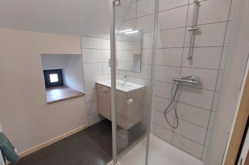 a bathroom with a shower with a sink and a mirror at La grange du vezou in Paulhenc