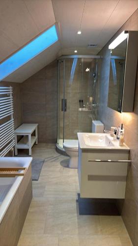 a bathroom with a sink and a shower and a toilet at Apartment Büel in Krattigen in Krattigen