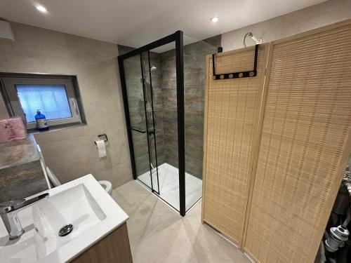 a bathroom with a shower and a sink at Le Nid de Chartreuse in Saint-Christophe