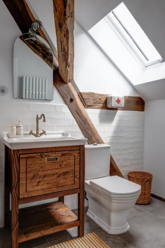 a bathroom with a toilet and a sink and a skylight at Darmyšl No13 in Staré Sedlo