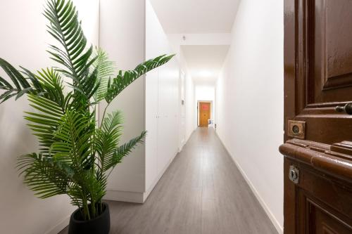 a hallway with a plant in a black pot at InLuce Terrazza in Sanremo