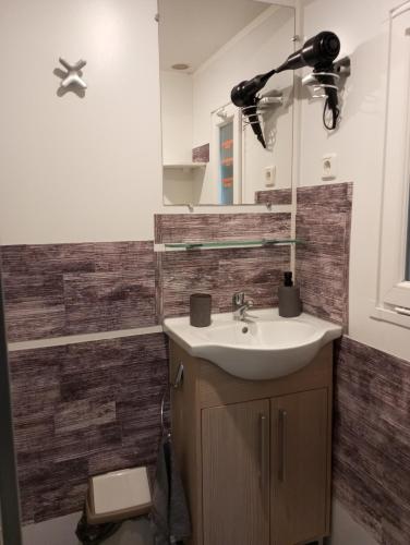 a bathroom with a sink and a mirror at L insolite du chalet in Seuzey