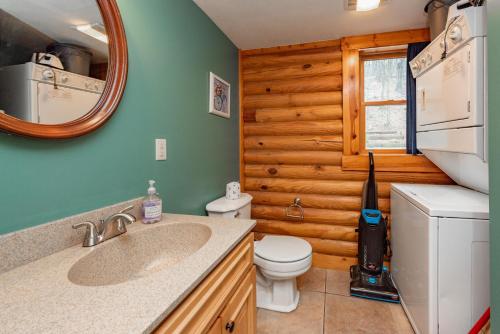 a bathroom with a toilet and a sink and a mirror at Viva By The Stream by Railey Vacations in McHenry