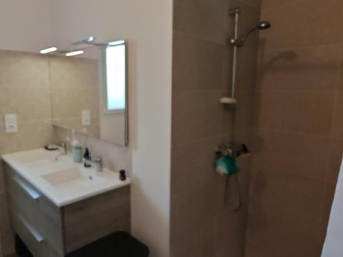 a bathroom with a sink and a shower with a mirror at Tamaris Abba in Talmont