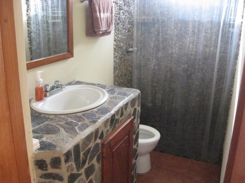 a bathroom with a sink and a shower with a toilet at Hotel La Omaja in Mérida