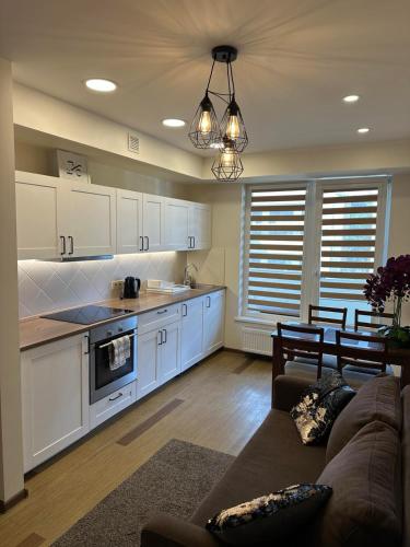 Barbora apartament 주방 또는 간이 주방