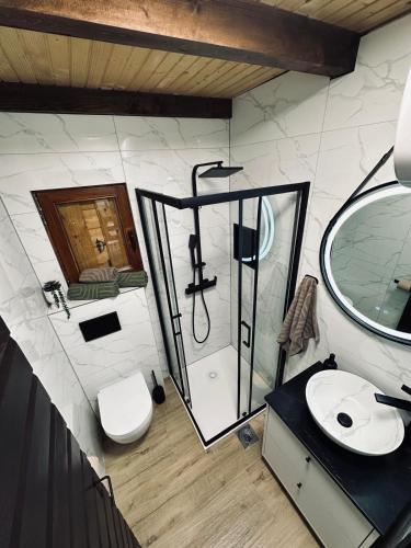 a bathroom with a shower and a toilet and a sink at Planinski šapat in Blidinje