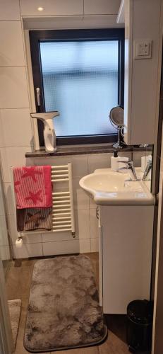 a bathroom with a sink and a window at Appartement Ons Plekje in De Wilp