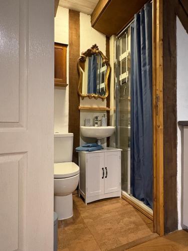 a bathroom with a toilet and a sink and a mirror at Le petit Valet in Saint-Clément