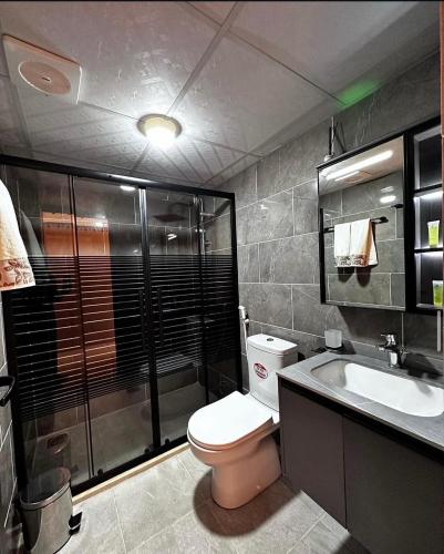 a bathroom with a toilet and a sink and a shower at Nebula Rum Camp in Wadi Rum