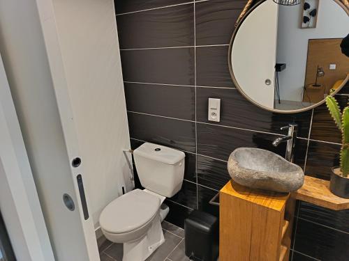 a bathroom with a toilet and a mirror at Gites de Lenny in Valréas