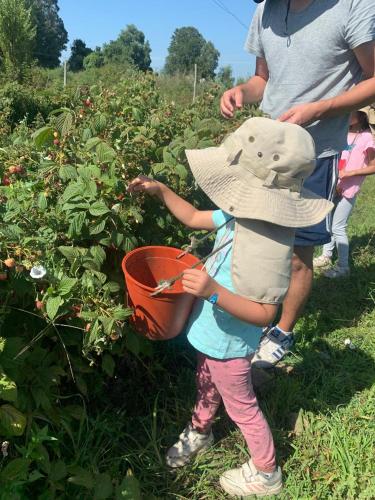a little girl wearing a hat standing in a field at Casa Berries in Colbún