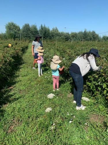 a woman and two children walking in a field at Casa Berries in Colbún