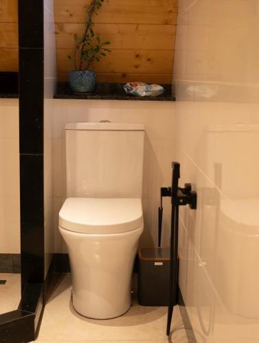 a bathroom with a white toilet in a room at MOSES HOUSE-მოსეს სახლი in Baladzeyebi