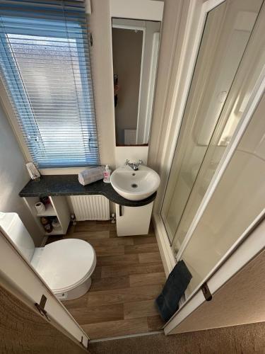 a small bathroom with a toilet and a sink at Dolphin View in Llanddwywe