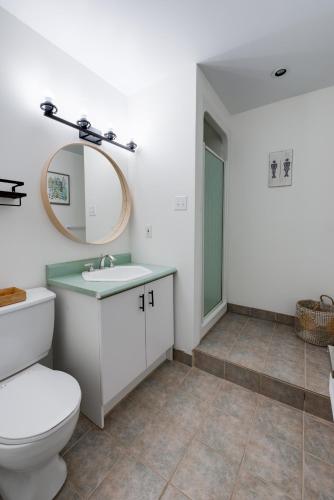 a bathroom with a toilet and a sink and a mirror at L'Érablière 75 - 3 chambres - 7 personnes in Saint-Férréol-les-Neiges