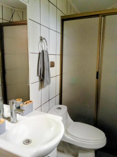 a bathroom with a toilet and a sink and a shower at Domo familiar in Chillán