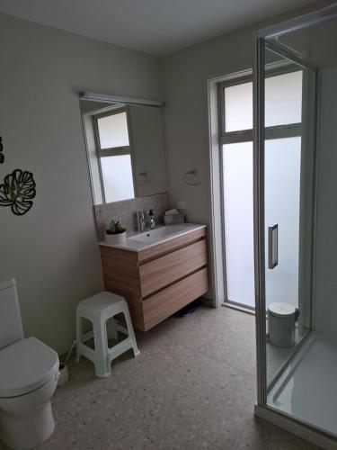a bathroom with a sink and a toilet and a mirror at Time n Tide in Athenree
