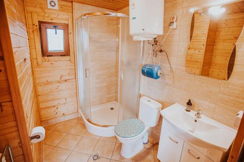 a bathroom with a shower and a toilet and a sink at Domki Heaven Ustronie Morskie in Ustronie Morskie