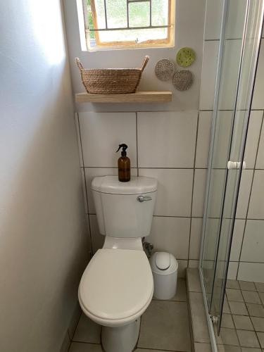 a bathroom with a toilet and a window at The Cozy Acre Unit 2 in Potchefstroom