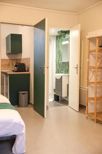 Habitación con cama y cocina con fregadero en Le Studio Vert, en La Flèche