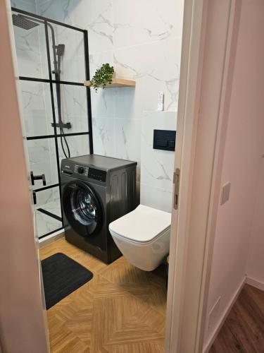 a bathroom with a washing machine and a toilet at Urusagului flat in Floreşti
