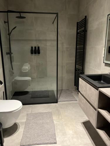 a bathroom with a shower and a toilet and a sink at FDS Luxe House in Ghent