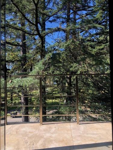 a glass door in front of a forest of trees at Three Pines in Kobuleti