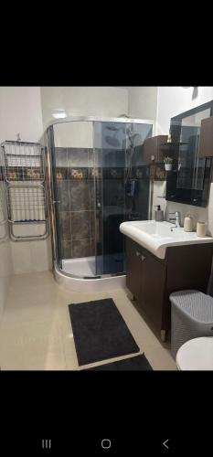 a bathroom with a shower and a sink at Tautiului 222 apartment in Floreşti